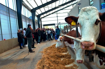 Diskuze studentů v robotické stáji.