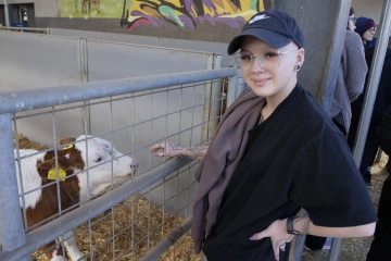 Naše telátka jsou velmi přátelská.